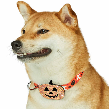 Blueberry Pet Halloween Party Adjustable Dog Collar with Detachable Pumpkin Accessory, Small, Neck 12"-16"