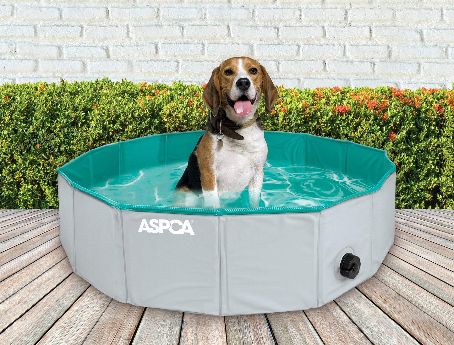 ASPCA Foldable Dog Pet Bath Pool Collapsible Pool Bathing Tub for Dogs & Cats