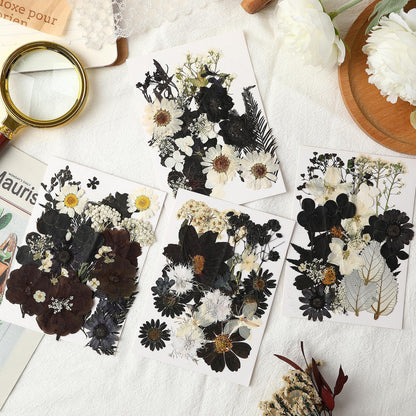 Augshy Black Dried Pressed Flowers, 120 Pcs Halloween Dried Flowers for Resin Molds Real Pressed Flowers for Crafts DIY Jewelry Molds, Scrapbooking, Candle, Soap Making
