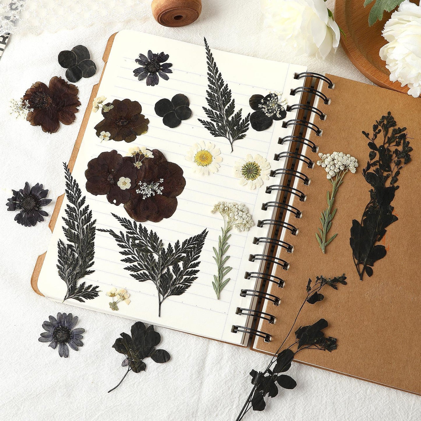 Augshy Black Dried Pressed Flowers, 120 Pcs Halloween Dried Flowers for Resin Molds Real Pressed Flowers for Crafts DIY Jewelry Molds, Scrapbooking, Candle, Soap Making