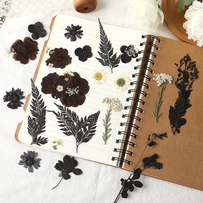 Augshy Black Dried Pressed Flowers, 120 Pcs Halloween Dried Flowers for Resin Molds Real Pressed Flowers for Crafts DIY Jewelry Molds, Scrapbooking, Candle, Soap Making