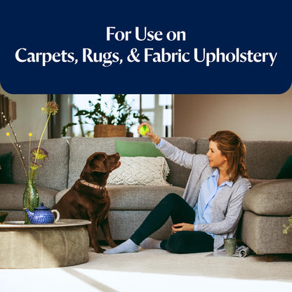 BISSELL 79B9E 2X Spot & Stain Formula, 473ml