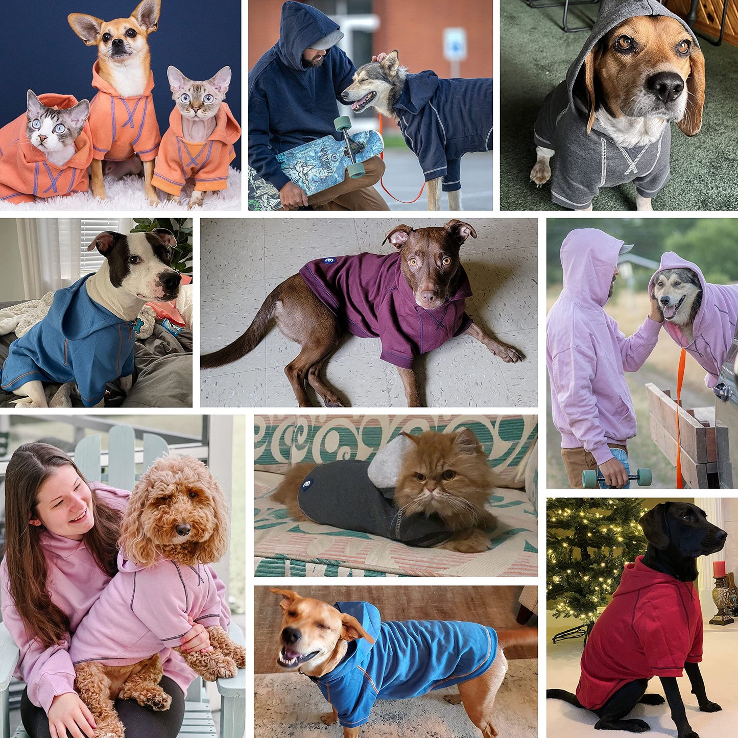 Blueberry Pet Essentials Dog Hoodie – 22 inch, Cotton‑Blend Sweatshirt with Hood, Coral, Machine‑Washable Small‑Dog Jersey