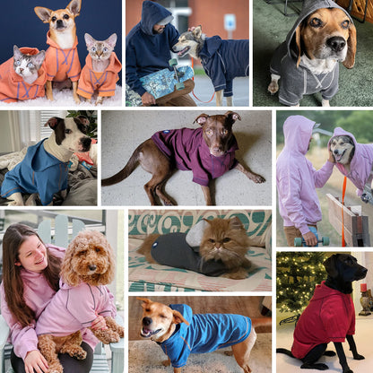 Blueberry Pet Essentials Dog Hoodie – 22 inch, Cotton‑Blend Sweatshirt with Hood, Coral, Machine‑Washable Small‑Dog Jersey