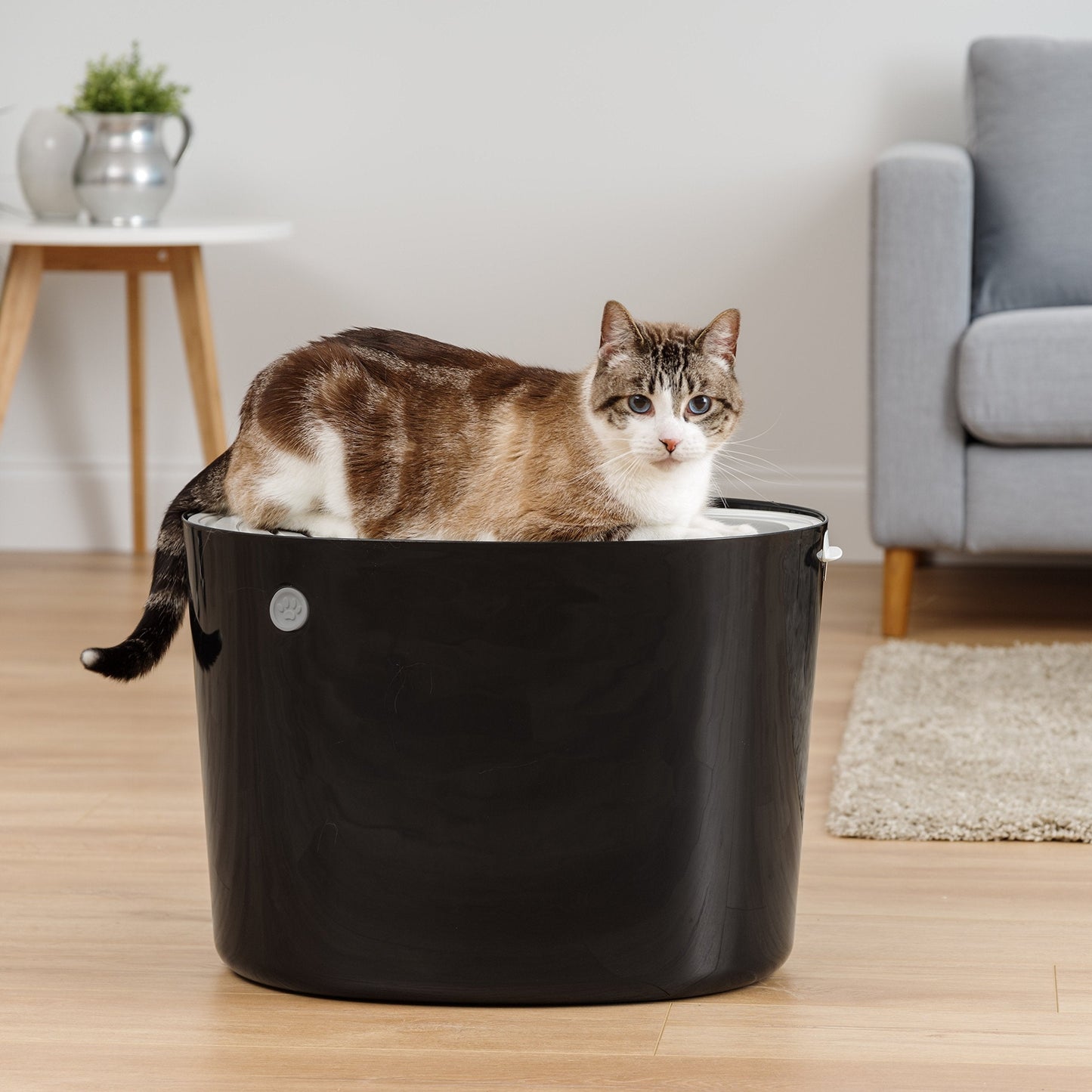 IRIS USA Cat Litter Box, Large Top Entry with Litter Catching Lid and Scoop, Dog Proof, Cat Box Enclosure, Black/Gray