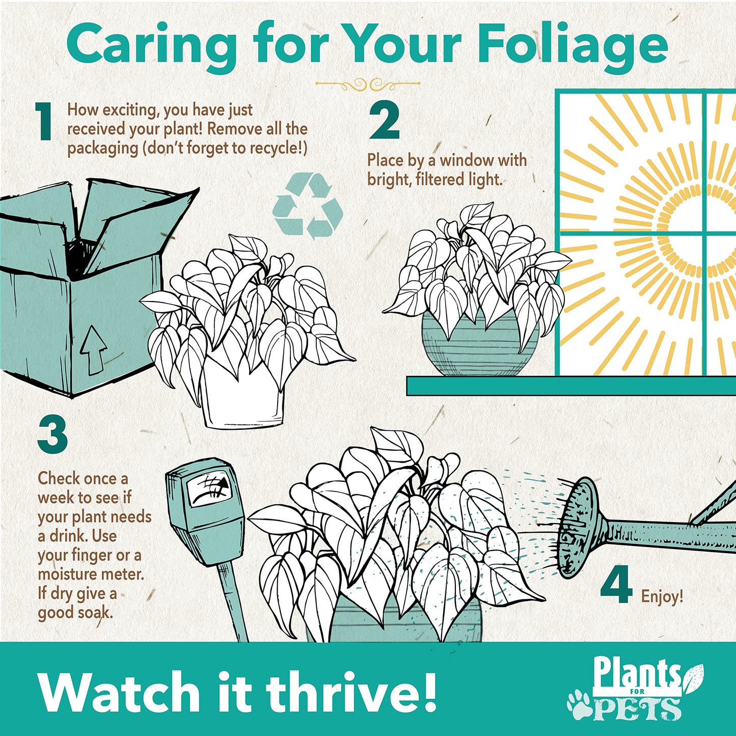 Calathea Prayer Plants Live House Plants (4PK), Pet Friendly Indoor Plants, Prayer Plant Houseplant Pack, Grower's Choice Calathea Plant Mix, Live Houseplants for Home and Office by Plants for Pets