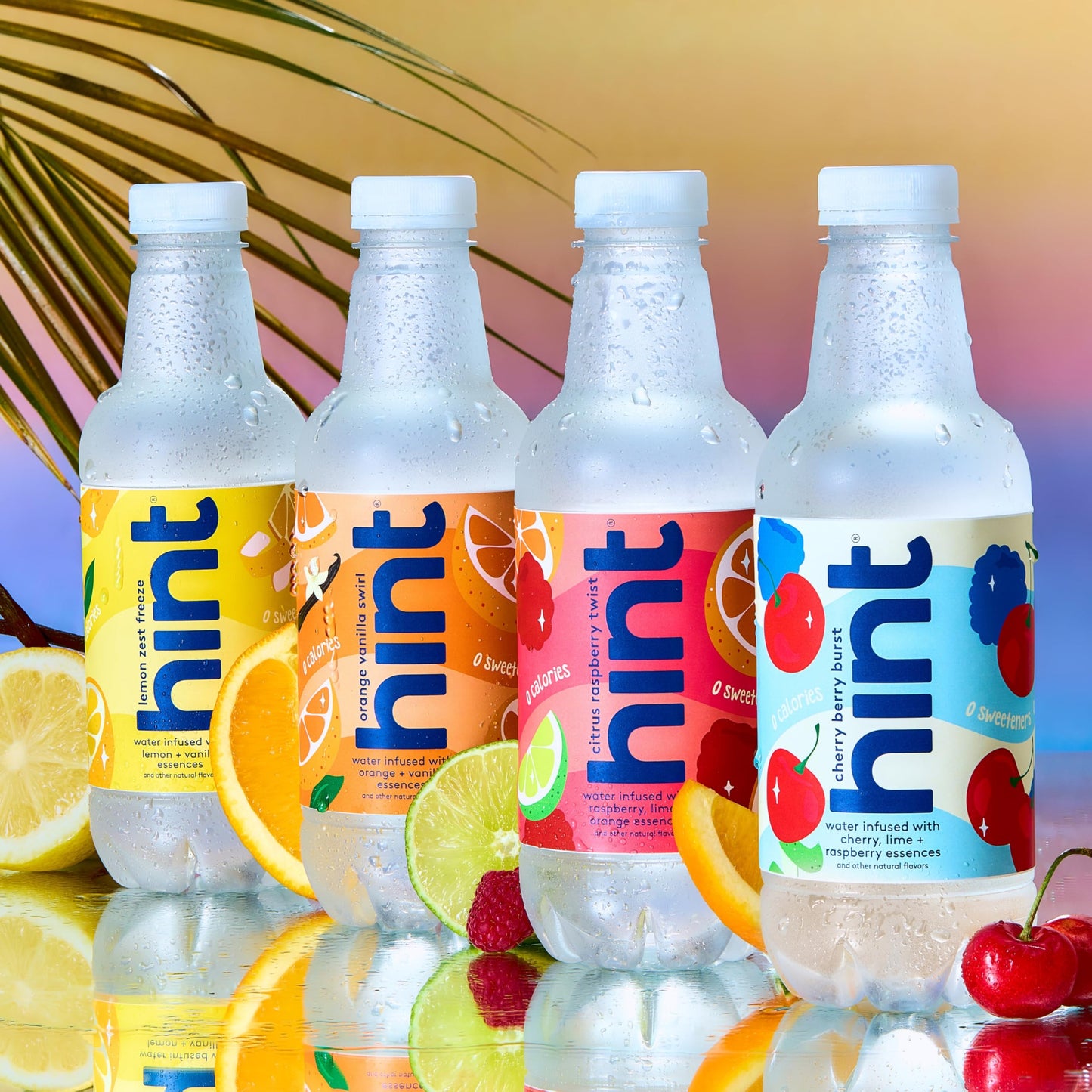 Hint Fruit-Infused Bottled Water, Summer Classics Variety Pack - Sugar Free Flavored Water with Zero Calories, Natural Fruit Essences, and No Artificial Sweeteners - 16 Fl Oz (Pack of 12)