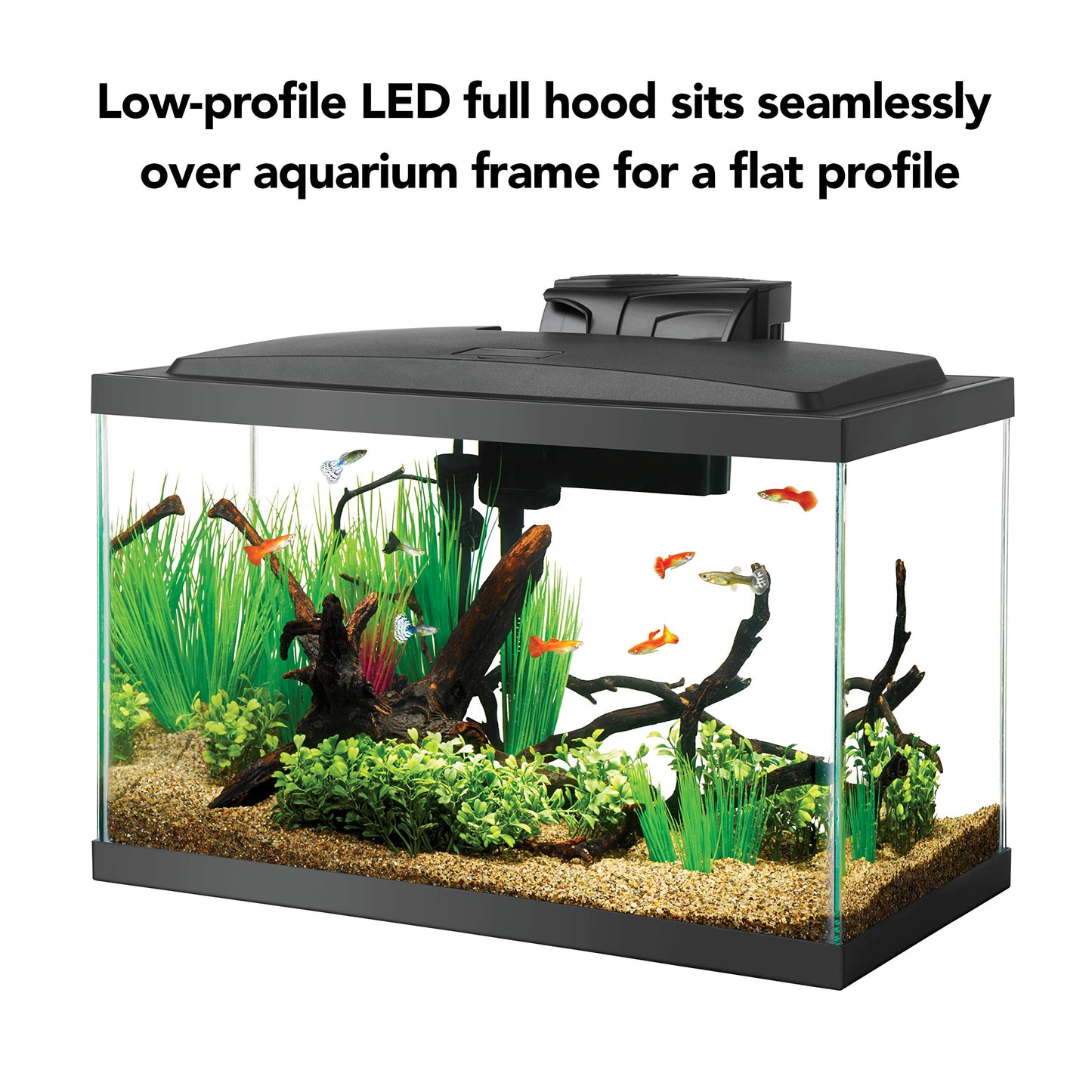 Aqueon Aquarium Fish Tank Starter Kit with LED Lighting 10 Gallon Fish Tank