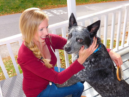 AtEase Accents Double Sided Dog Brush - for Long or Short Haired Dogs and Cats Natural Bamboo Eco Friendly Pet Grooming Dual Sided Pin and Bristles for Deshedding Hair