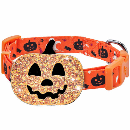 Blueberry Pet Halloween Party Adjustable Dog Collar with Detachable Pumpkin Accessory, Small, Neck 12"-16"