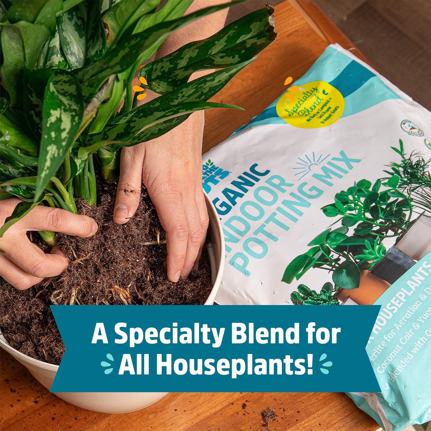 Back to the Roots 100% Organic Indoor Potting Mix (6 Quart), Promotes Healthy Houseplant Growth, Made in The USA